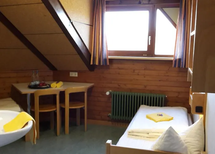 Hellmut-wassmer-jugendherberge Лёррах